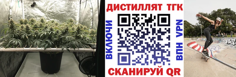 ТГК THC oil  Купить где  Иланский 